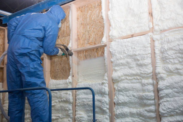 Best Pipe and Duct Insulation  in Cheraw, SC